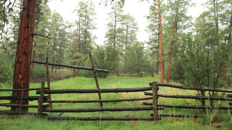 Arizona: Pine Flat Hero Photo