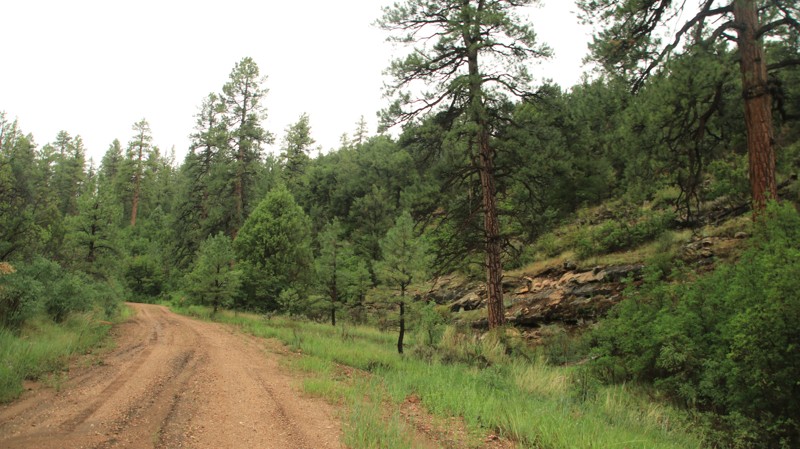 Arizona: Pine Hollow Hero Photo