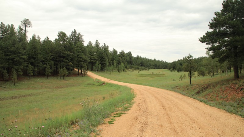 Arizona: Corral Lake Hero Photo