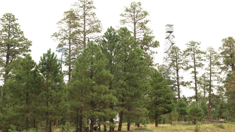 Arizona: FR 628 Hero Photo