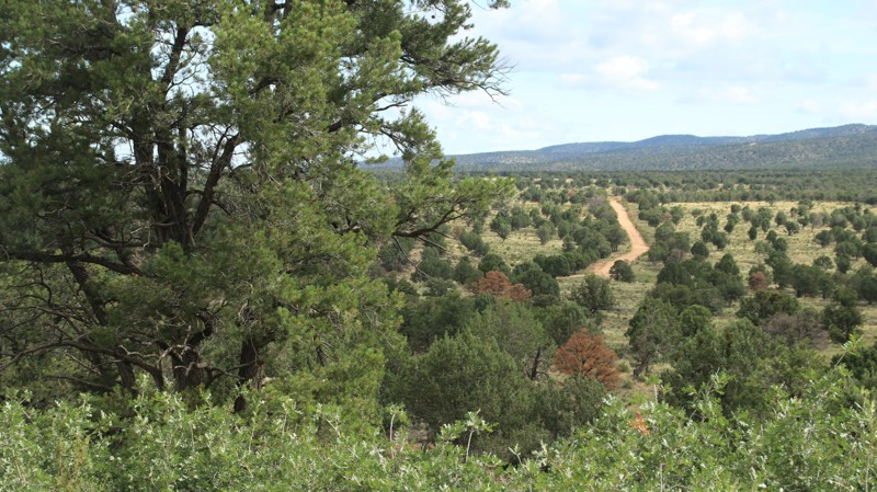 Arizona: Jacob Canyon Trail Hero Photo
