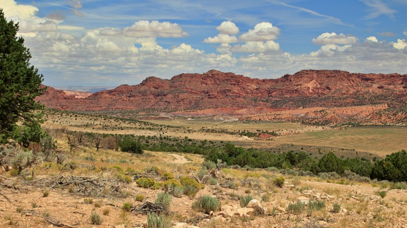 Arizona: Winter Road Hero Photo