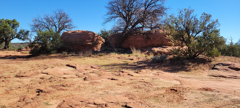 Pine Tree Pocket Trail Review Photo