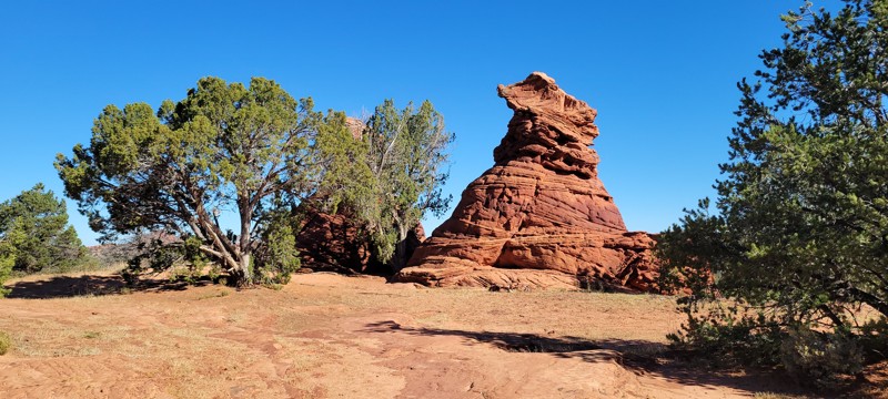 Pine Tree Pocket Trail Review Photo