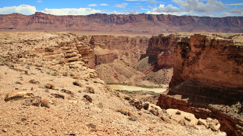 Arizona: Badger Creek Hero Photo