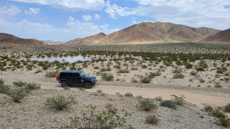 California: Cronise Lake Area - CL8337 Hero Photo