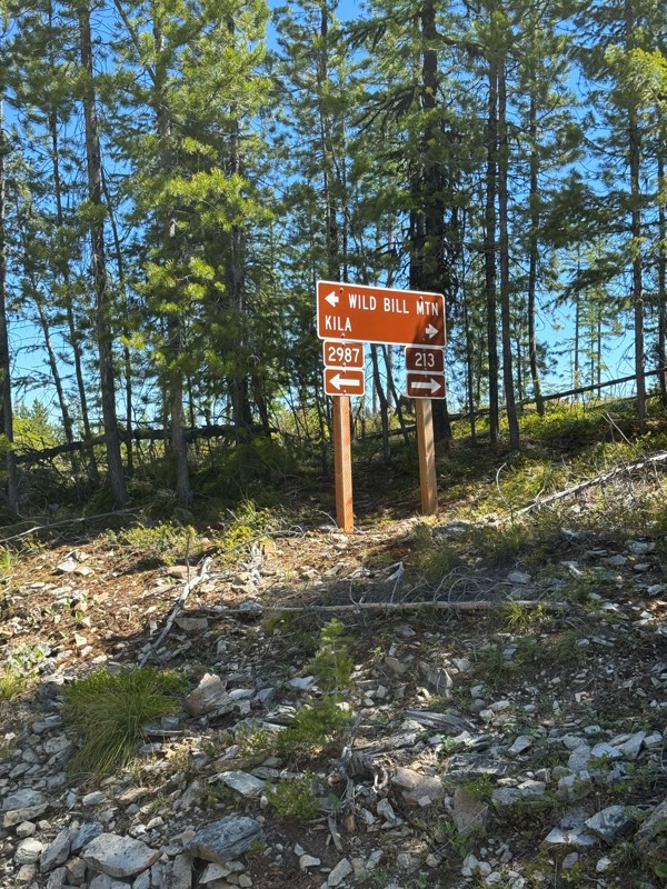 Wild Bill Creek Road Trail Review Photo