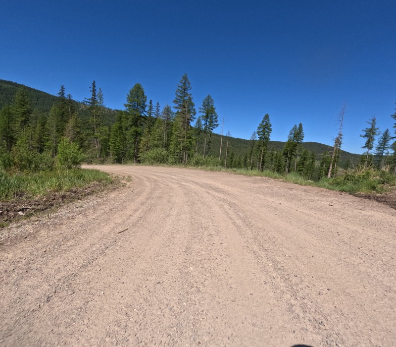 Wild Bill Creek Road Trail Review Photo