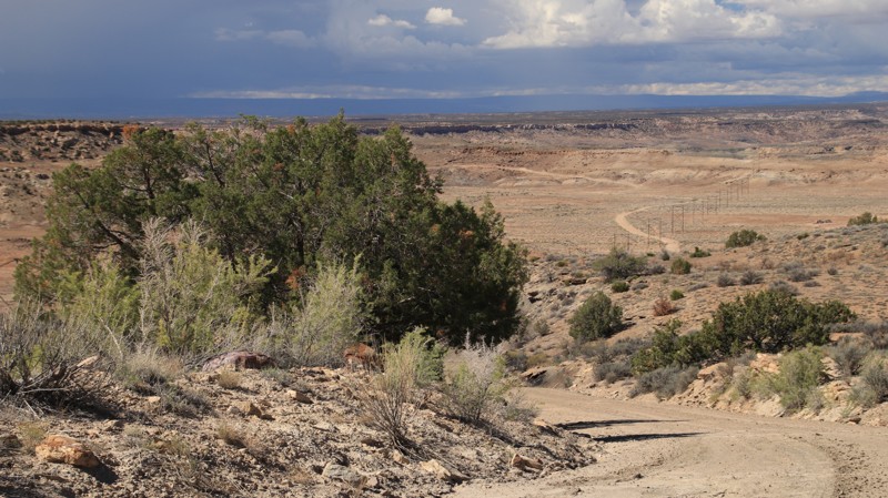 Utah: Black Steer Canyon Road Hero Photo