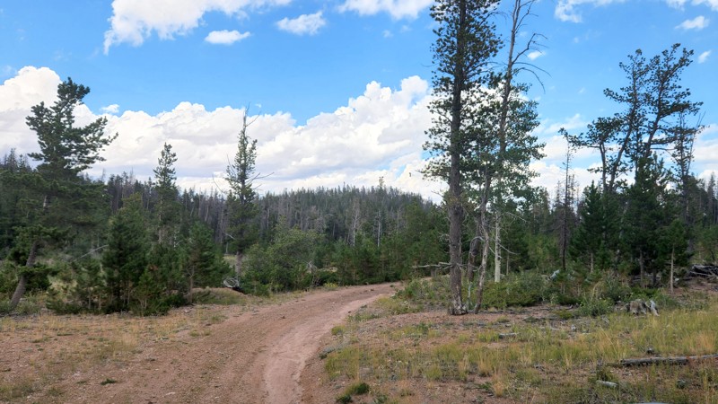 Colorado: Rocky Beaver Hero Photo