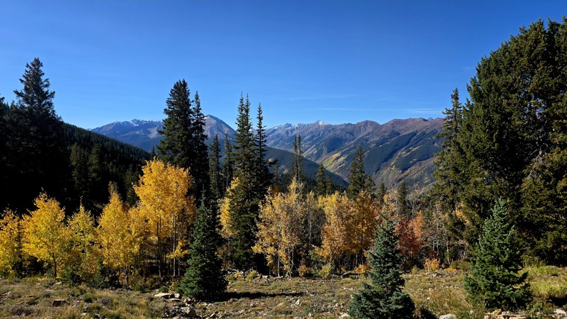 Aspen Mountain Trail Review Photo