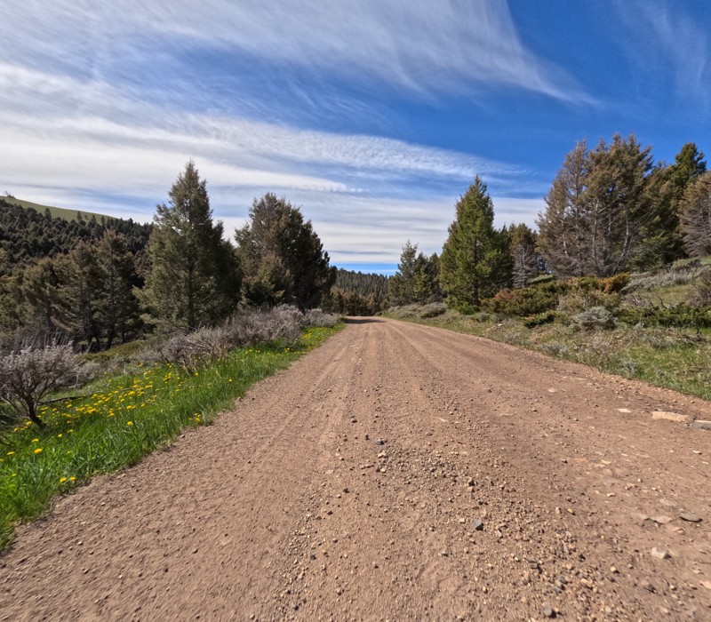 Finn Gulch / Amazon Road Trail Review Photo