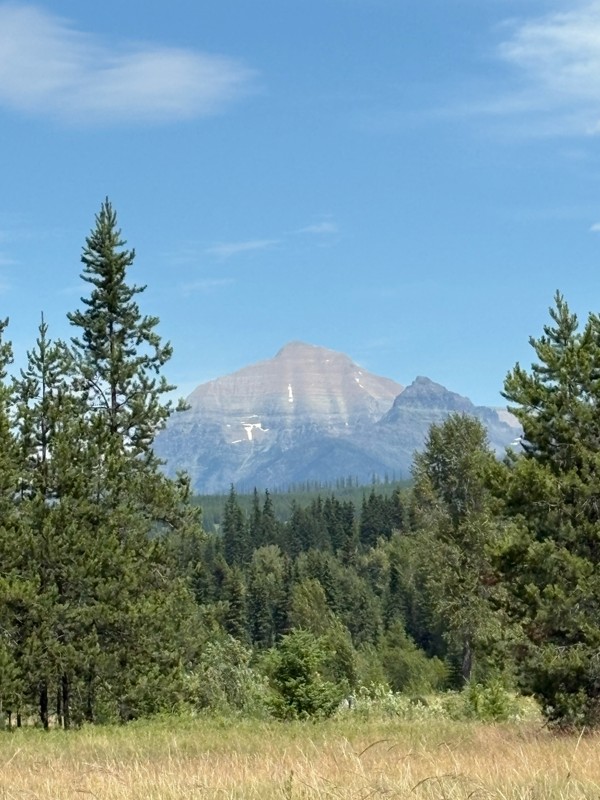 North Fork Road Trail Review Photo