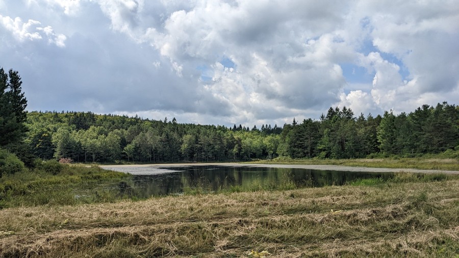 Beaver Road Trail Review Photo