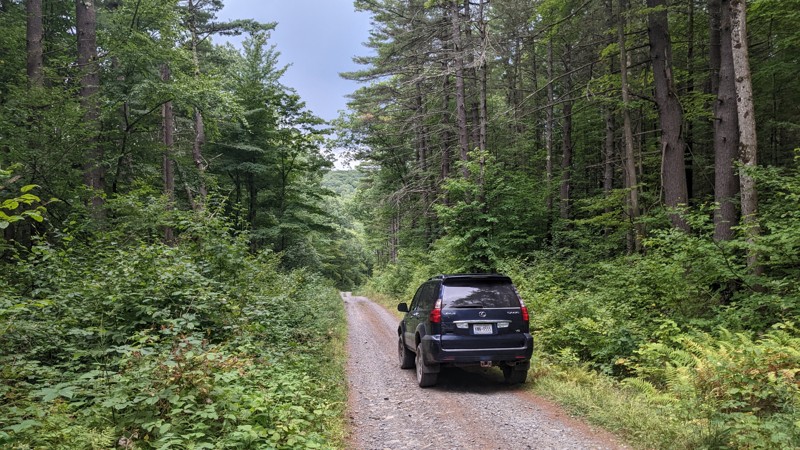 New York: Burnt-Rossman Hills State Forest - CCC Road Hero Photo