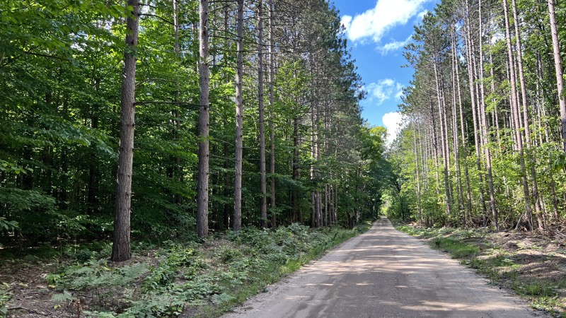 Michigan: East Bump Hero Photo