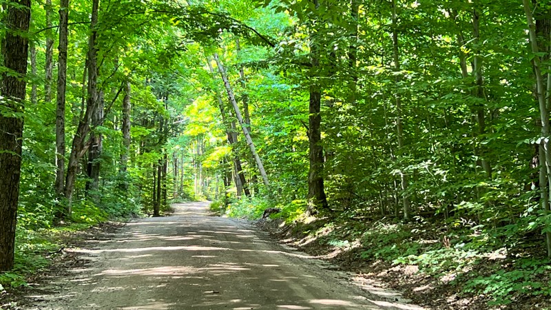 Michigan: Michelle Benson Trail Hero Photo