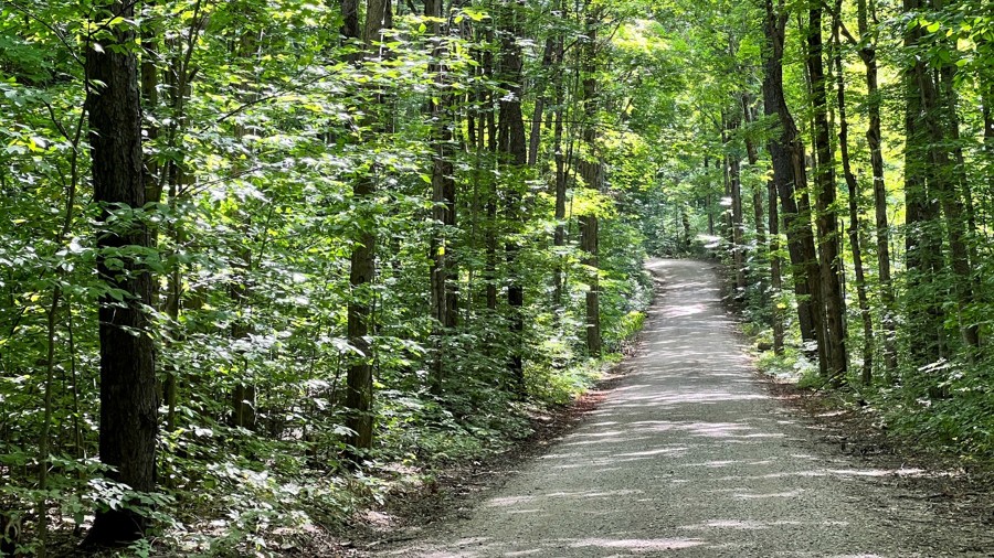 Michelle Benson Trail Trail Review Photo
