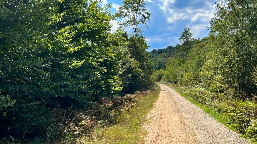 5151 - 7849 Trail Review Photo
