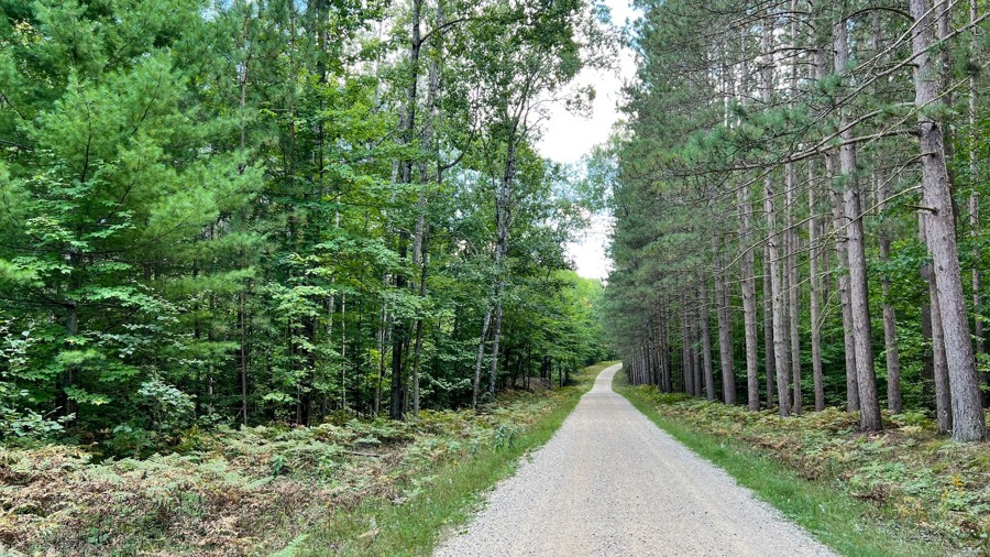 5334-9787-5410 Trail Review Photo