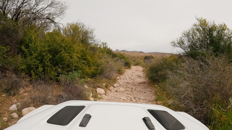 Hoss Trail Review Photo