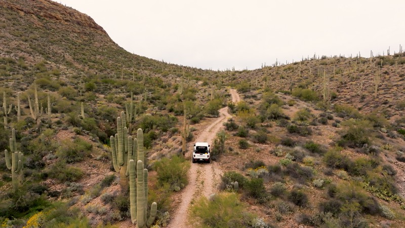 Hoss Trail Review Photo