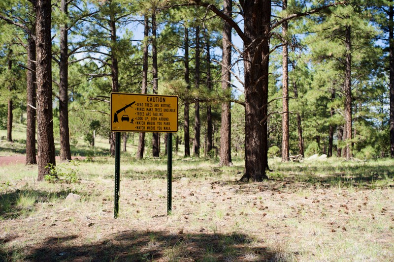 Udall Draw Trail Review Photo