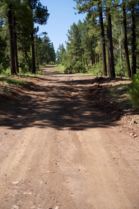 Udall Draw Trail Review Photo