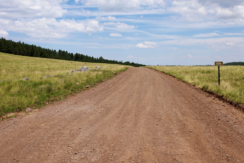 Canero Trail Review Photo