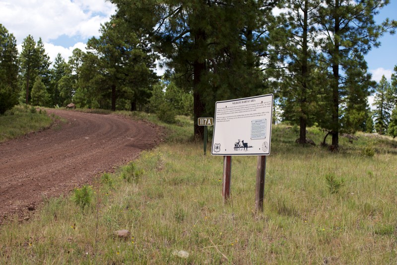 Canero Trail Review Photo