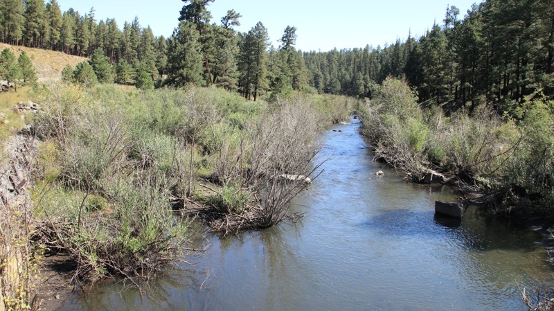 Arizona: Buffalo Crossing Hero Photo