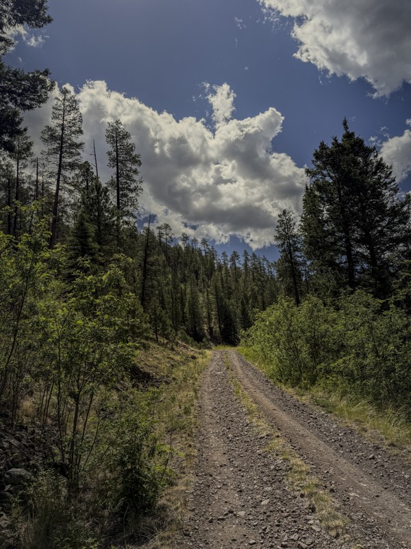 Buffalo Crossing Trail Review Photo