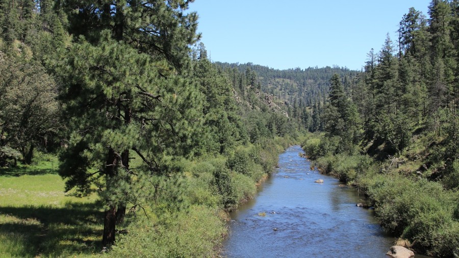 Black River Road Trail Review Photo