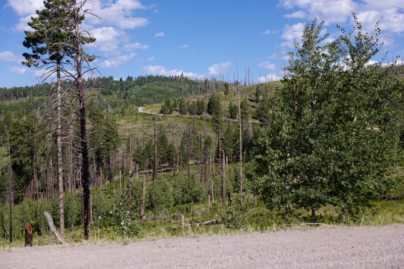 Black River Road Trail Review Photo