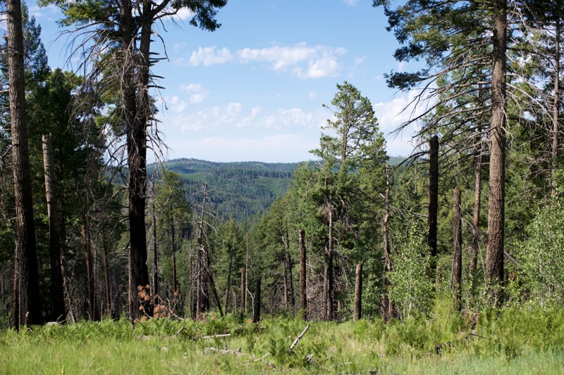 Black River Road Trail Review Photo