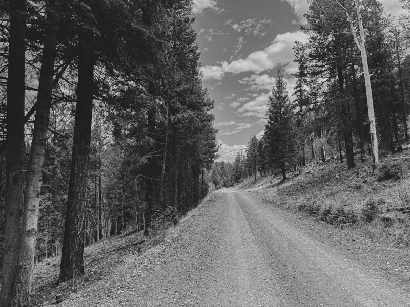 Black River Road Trail Review Photo