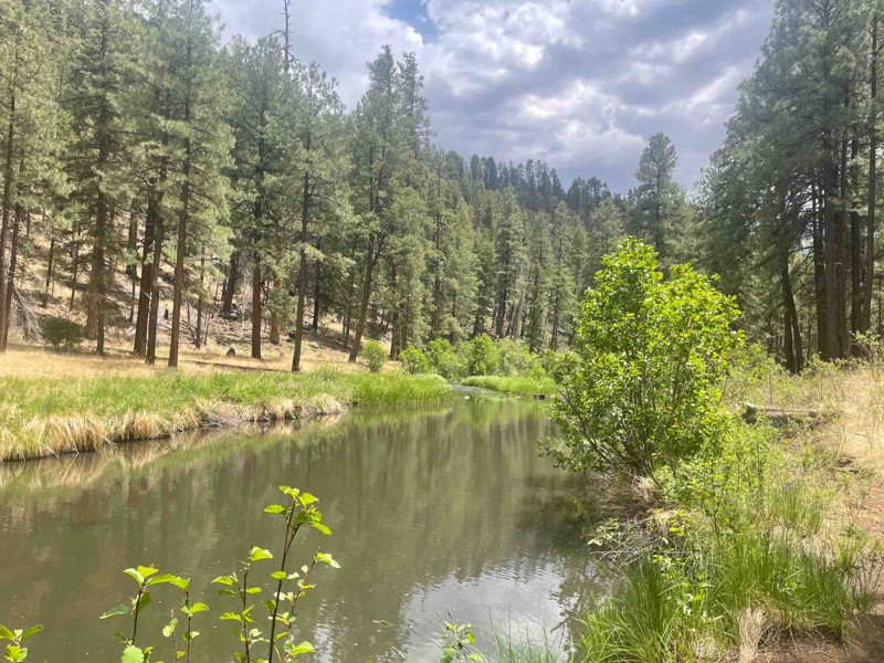 Diamond Rock Trail Review Photo
