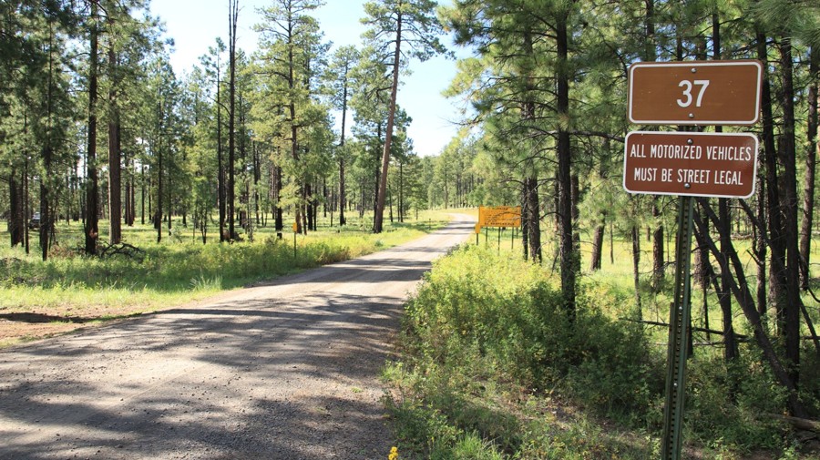 Middle Mountain Road Trail Review Photo