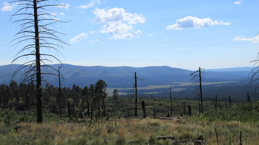 Middle Mountain Road Trail Review Photo