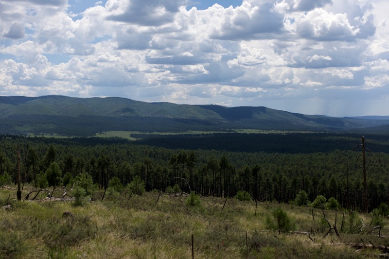 Middle Mountain Road Trail Review Photo