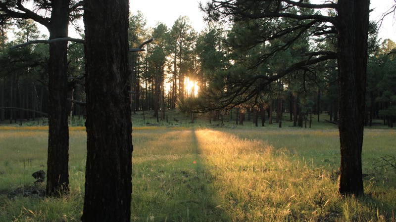 Arizona: Heifer Branch Hero Photo