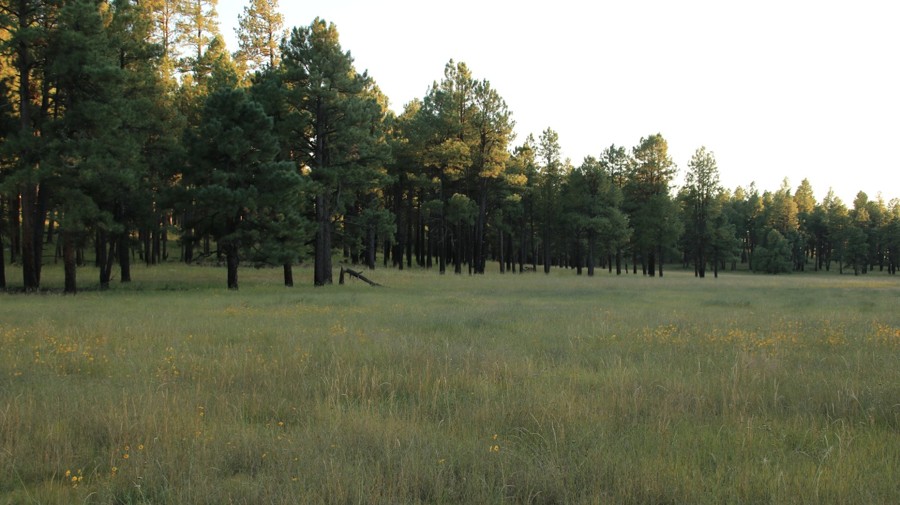 Heifer Branch Trail Review Photo