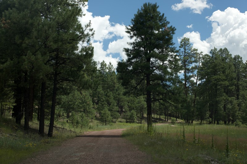 Heifer Branch Trail Review Photo