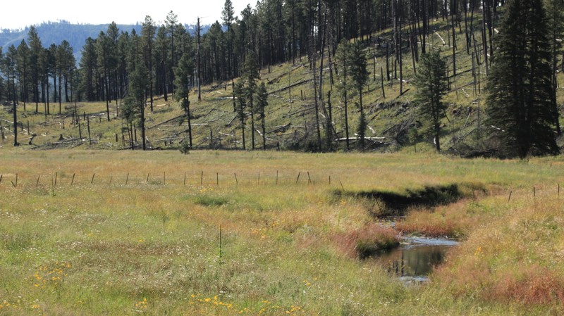 Arizona: Beaver Creek Hero Photo