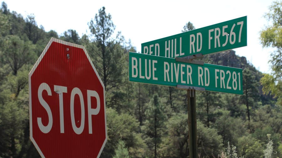 Red Hill Trail Review Photo