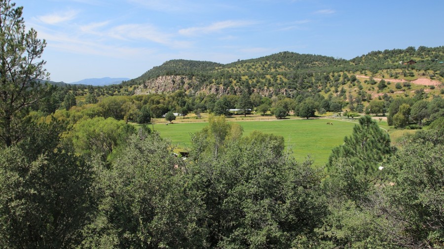Blue River Road Trail Review Photo
