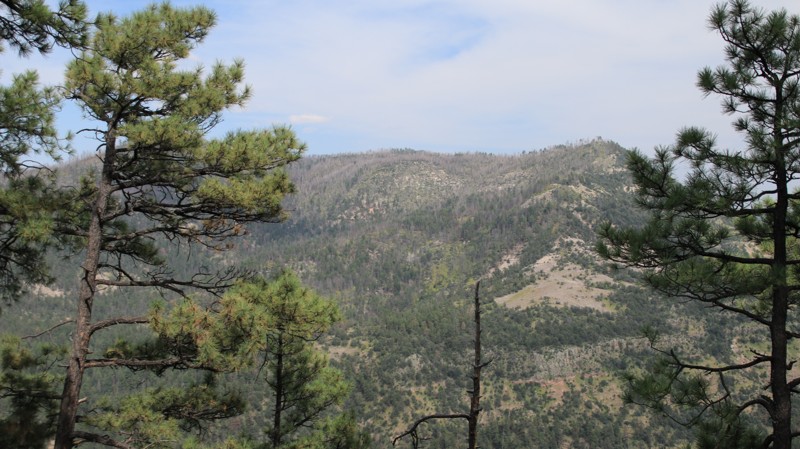 New Mexico: Frisco Divide Hero Photo
