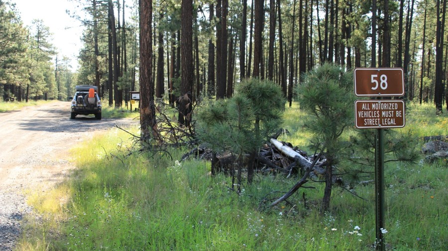 Buckalou Trail Review Photo