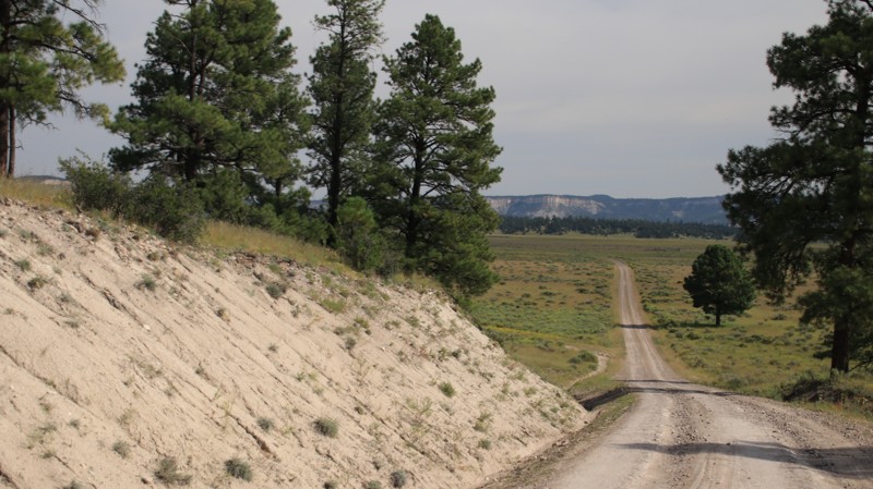 New Mexico: Bill Knight Gap Road Hero Photo
