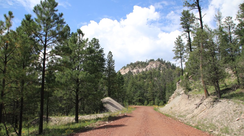 New Mexico: Jenkins Creek Hero Photo